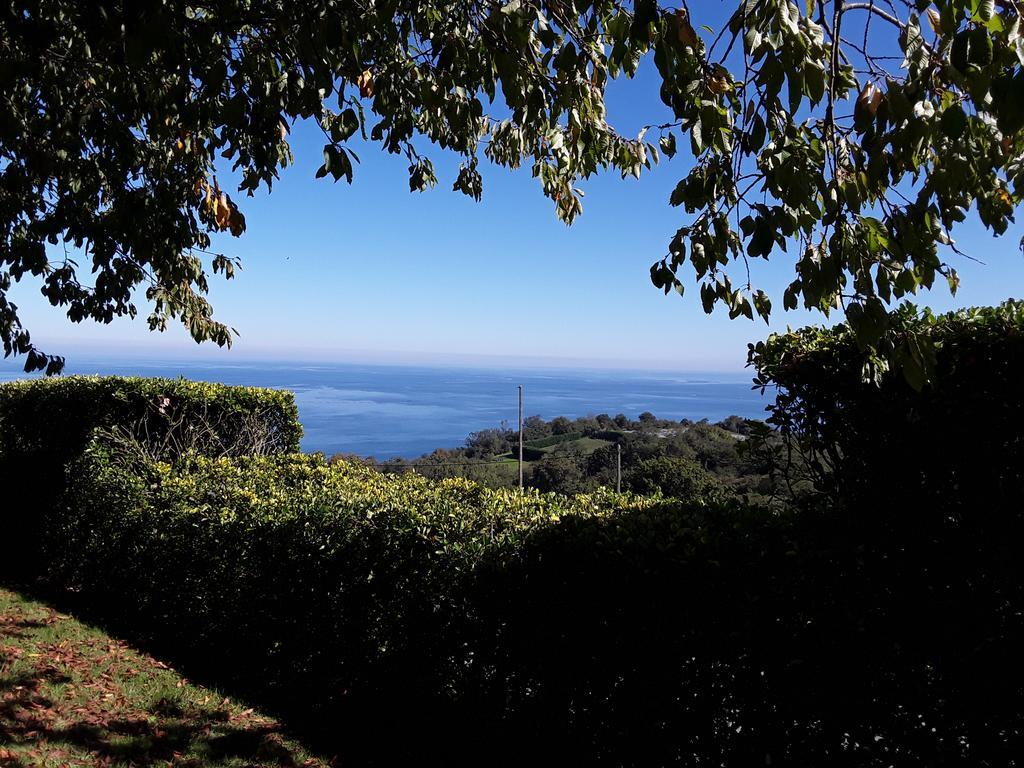 Appartement Epotx Etxea à Getaria Extérieur photo